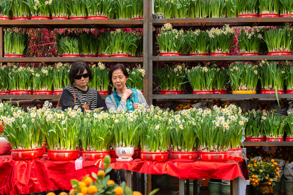 Visiting Victoria Park Flower Market