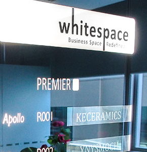 White Space International