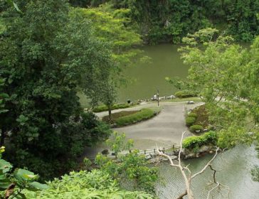 Windsor Nature Park Hiking Trails In Singapore