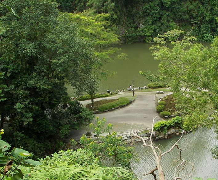 Windsor Nature Park - Singapore - Little Steps Asia