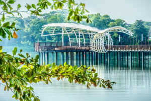 Fun Things To Do In Yishun – North Singapore