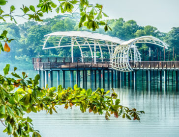 Fun Things To Do In Yishun – North Singapore
