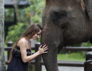 Guide To Visiting Bali Zoo With Kids In Ubud