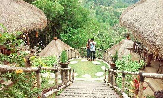 Basanta Agro Organic In Bali