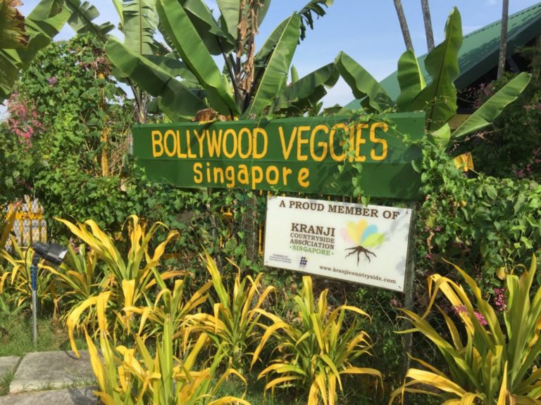 Best Local Farms In Singapore - Bollywood Veggies