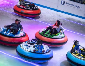 Bumper Cars On Ice In Singapore
