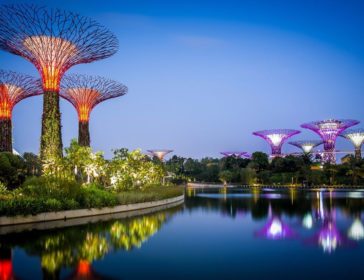 Visiting Gardens By The Bay And The Flower Dome In Singapore