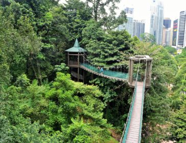 KL Forest Eco Park In Kuala Lumpur