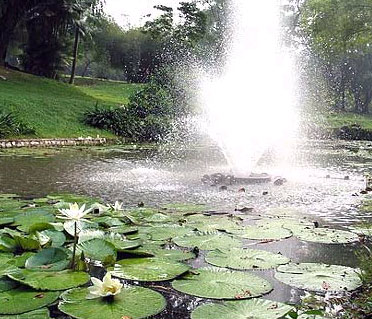 Outdoor Park At Lake Gardens In Kuala Lumpur