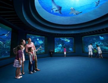 Typhoon Theatre At The Maritime Experiential Museum *CLOSED