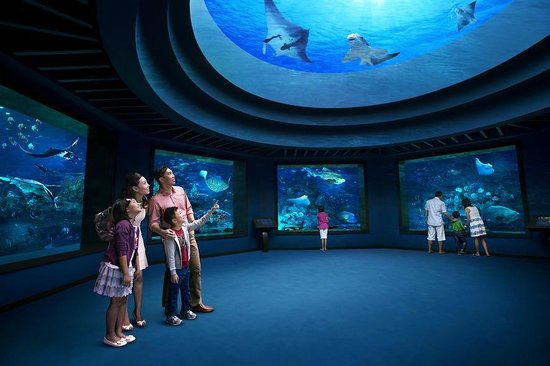 Explore Typhoon Theatre In Singapore