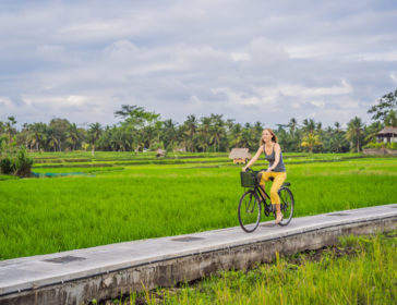 Bali Hai Bike Tours For Kids And Families