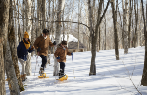 Unique Club Med Ski Holidays In Japan