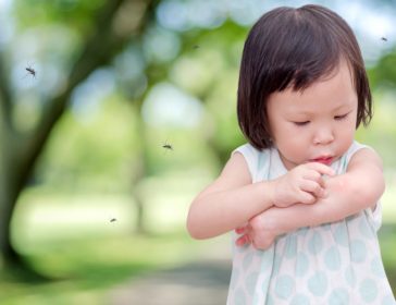 Guide To Dengue Fever In Singapore And Treatment