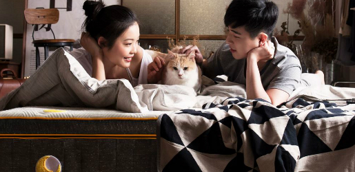 Top-Mattresses-In-Hong-Kong-Comma-Sleep