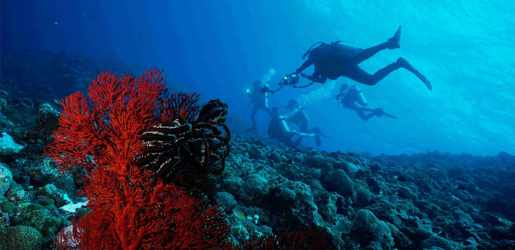 Top-Scuba-Diving-Destinations-For-Families-Asia-All-Cities-Kerama-Islands