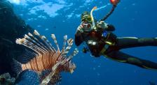 Top-Scuba-Diving-Destinations-For-Families-Asia-All-Cities-Maldives