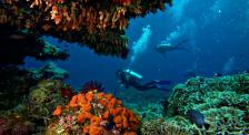 Top-Scuba-Diving-Destinations-For-Families-Asia-All-Cities-Nusa-Lembongan