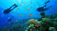 Top-Scuba-Diving-Destinations-For-Families-Asia-All-Cities-Tioman-Island