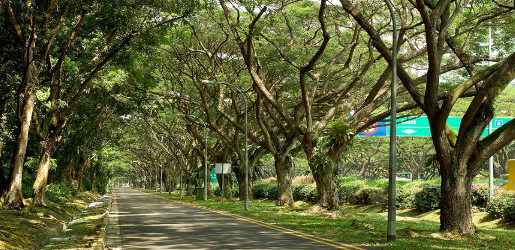 Top_10_Singapore_Running_Trails_-_East_Coast_Park
