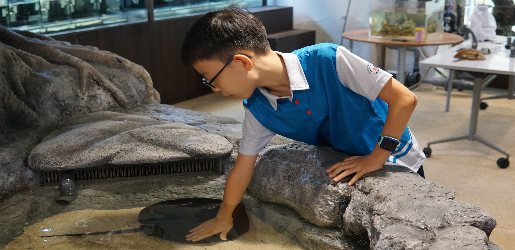 week-intensives-ths-marine-research-center-hong-kong