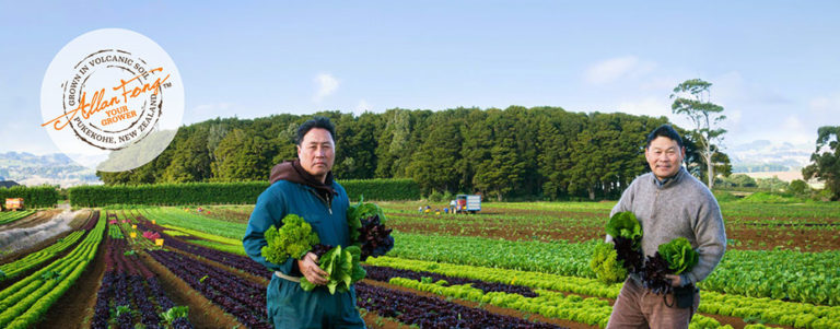 The Fresh Grower for fresh organic vegetables in HK