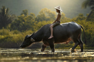 Cambodia Beyond Temples