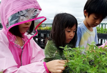 Farming Workshop For Families In Wanchai!