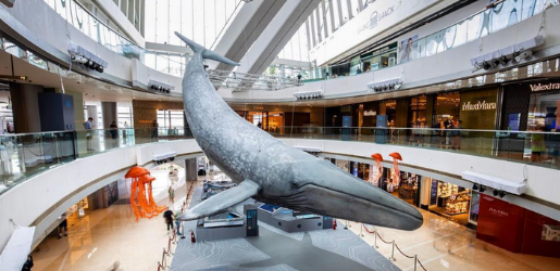 IFC-Presents-The-Wonders-Of-The_-Ocean-In-Hong-Kong-2019