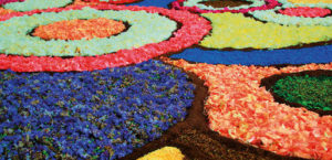 Rangoli Flower Carpet