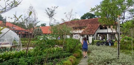 the-haunting-of-summerhouse-singapore