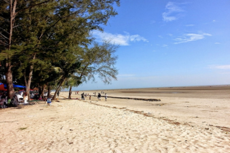 Bagan Lalang Beach in KL