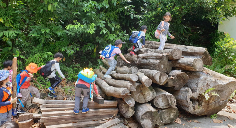 singapore forest school programs