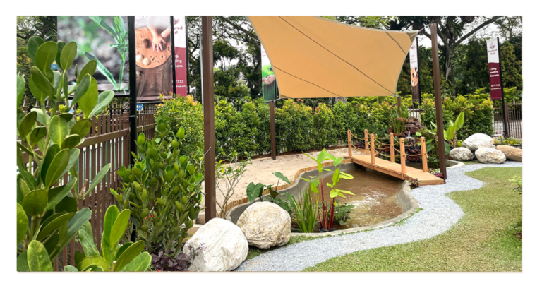 Best Forest School Programs Singapore