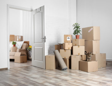 Best Local Movers And Packers In Hong Kong