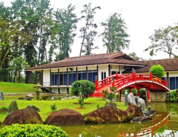 Visit The Chinese And Japanese Gardens In Singapore