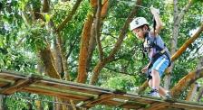 Forest Adventure Rope Course In Singapore