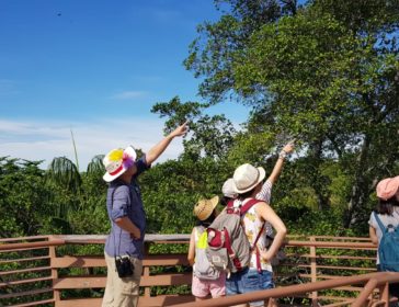 Biodiversity Tours With Kids In Chek Jawa And Pasir Ris!