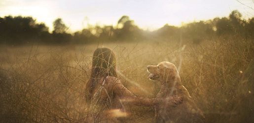 Pawsibility Animal Assisted Therapy In Singapore - Little Steps Pawsibility Animal Assisted Therapy In Singapore - Little Steps