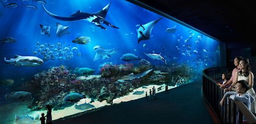 SEA-Aquarium-Singapore