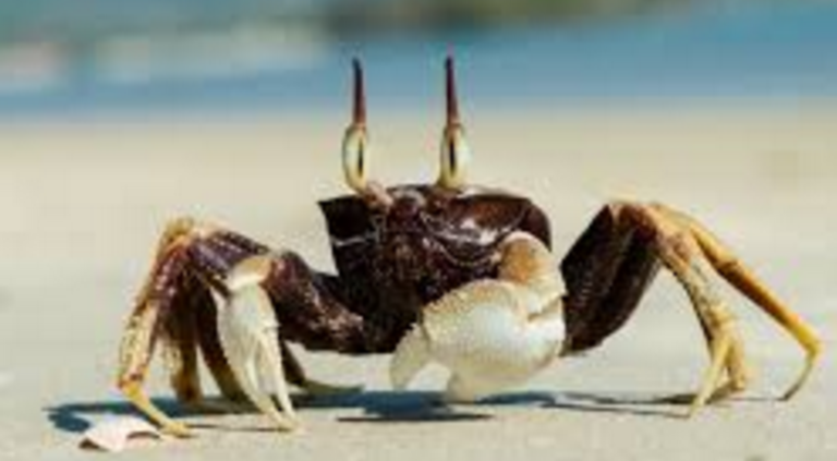 Screen_Shot_2016-06-30_at_12