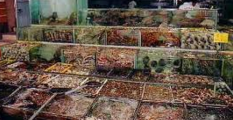 Screen_Shot_2016-06-30_at_12