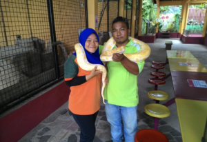 Visiting Langkawi Wildlife Park With Kids