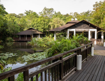 Visiting Sungei Buloh Wetland Reserve In Singapore