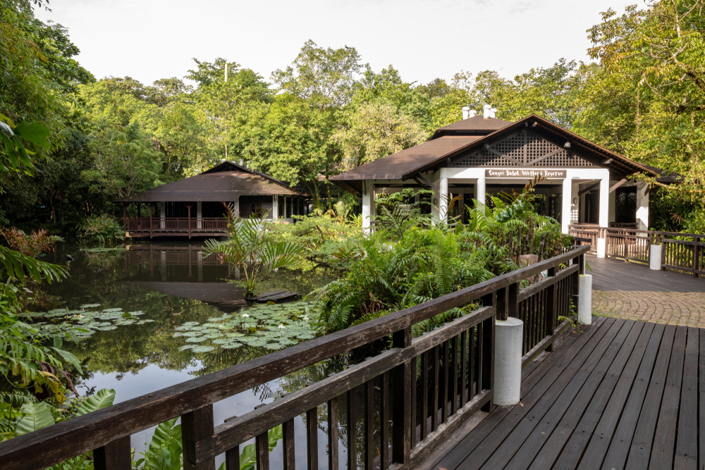 Sungei Buloh Wetland Park