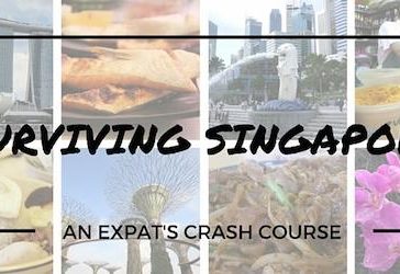 WIN: Surviving Singapore Tickets