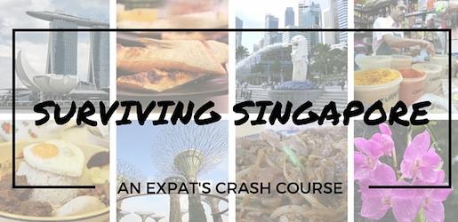 Surviving-Singapore
