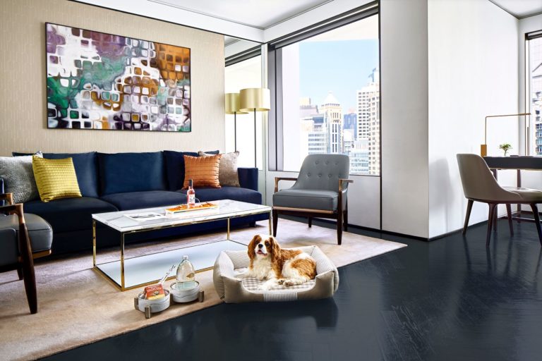 The Murray Hong Kong Family Staycation
