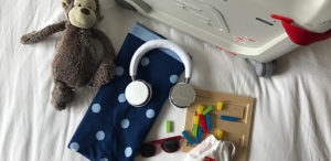 Wander Cubs Website For Travel Gear