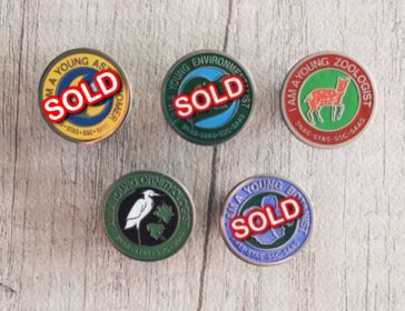 Young Scientist Badge Scheme In Singapore